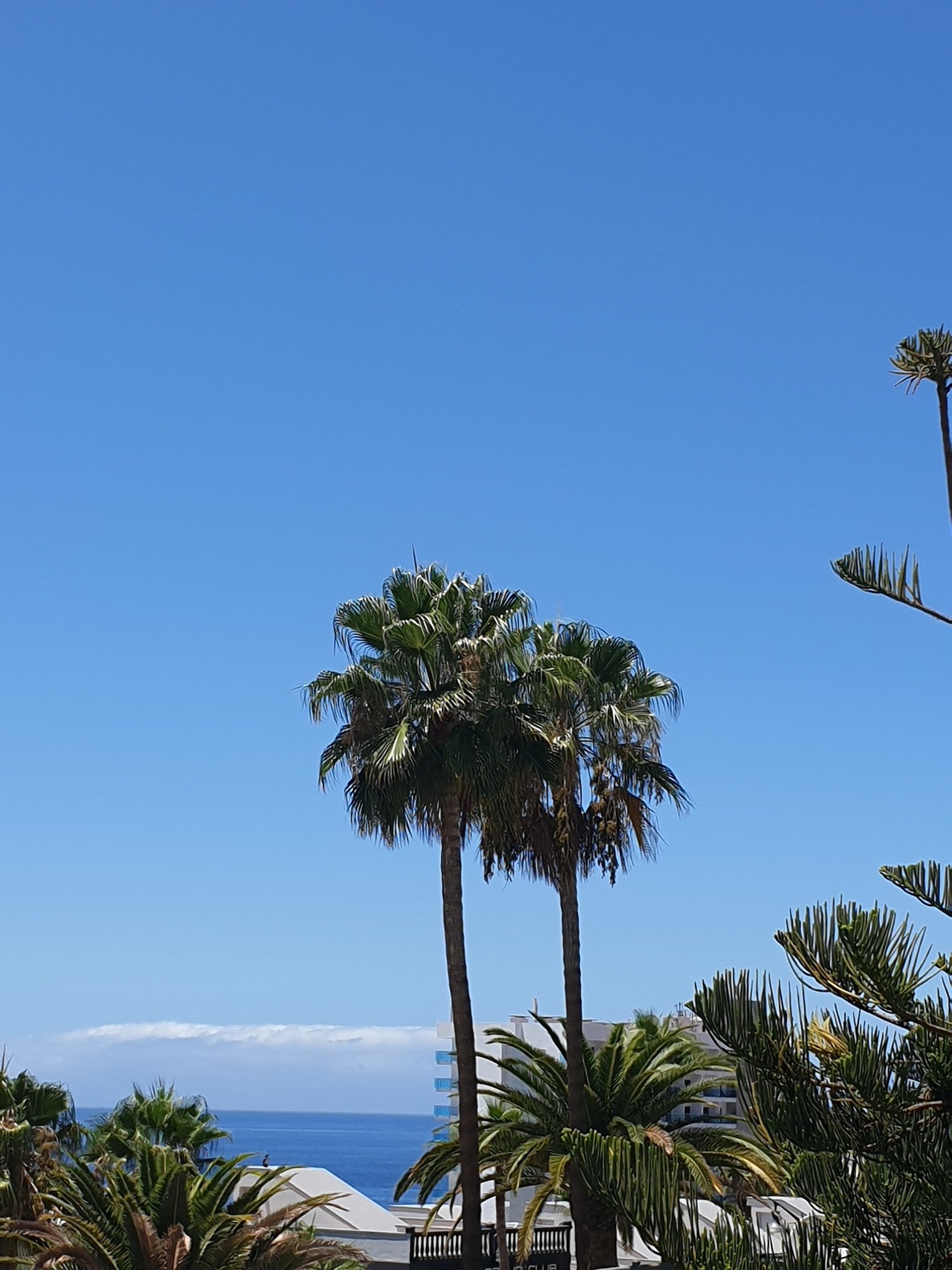 El Sombrero Apartments Los Gigantes-泳池