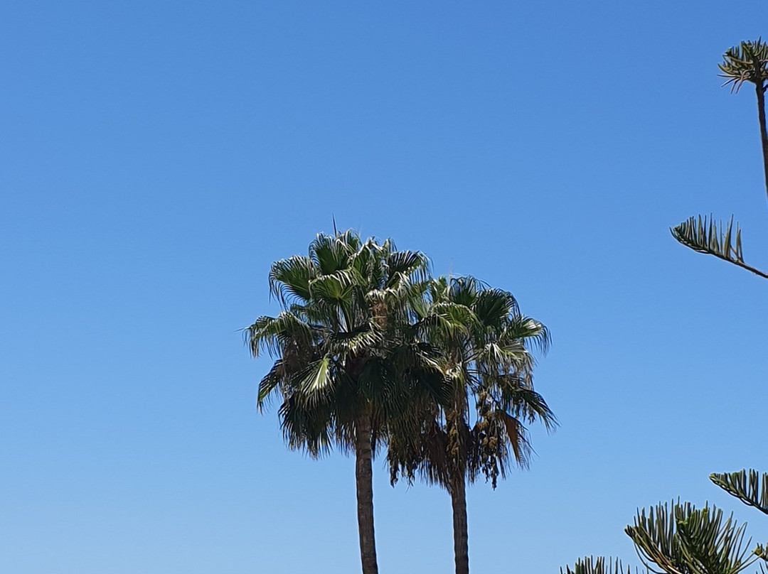 El Sombrero Apartments Los Gigantes主图
