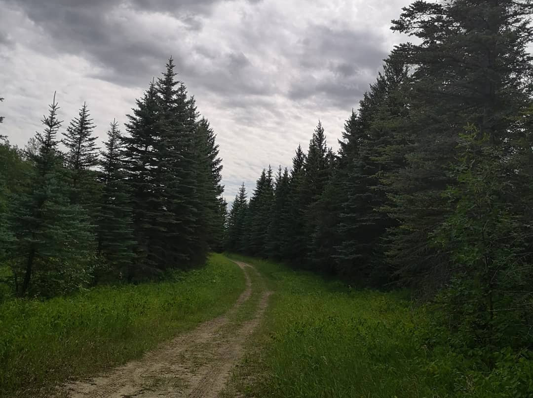 Pembina Valley Provincial Park-Morden必去景点