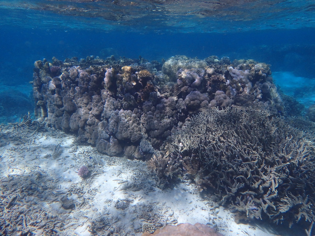 Poe Beach-Bourail必去景点