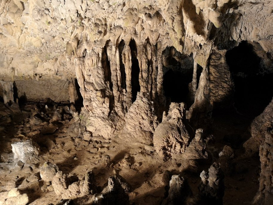 The Women's Cave ( Pestera Muierii )景点图片