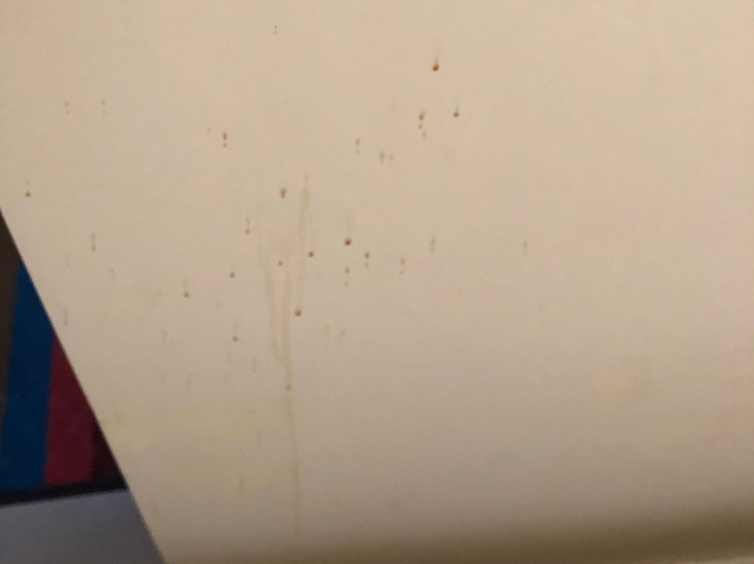 St Gerard Lodging House主图