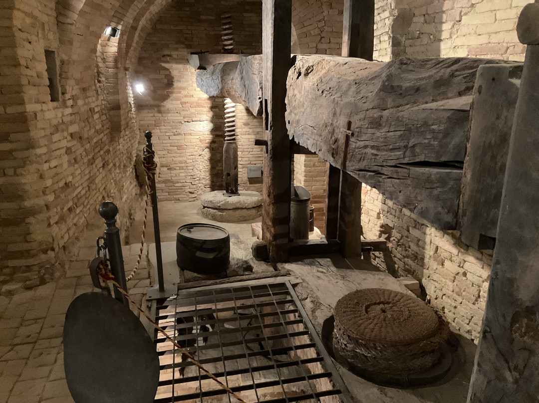 Cantinarte Wine And Evoo Tasting景点图片