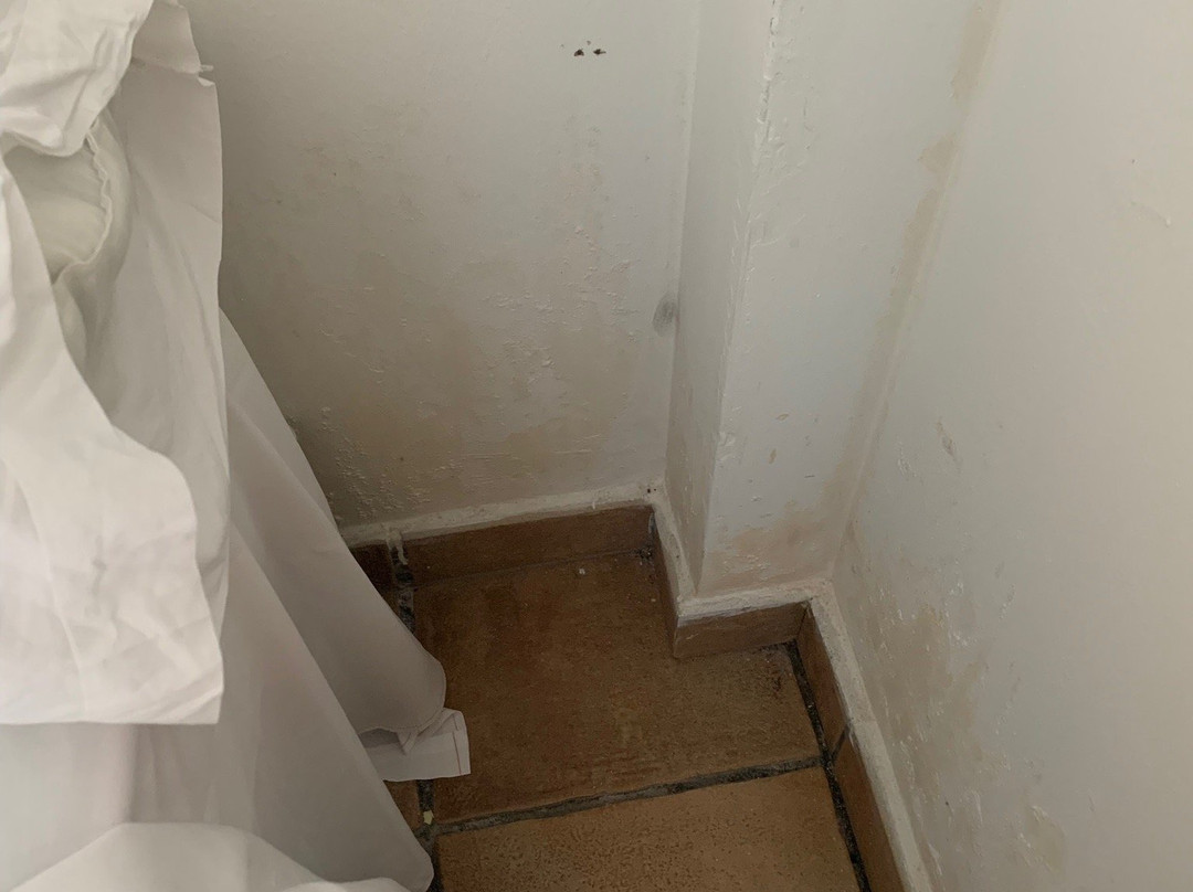 Vista Real Hotel-Apartamentos主图