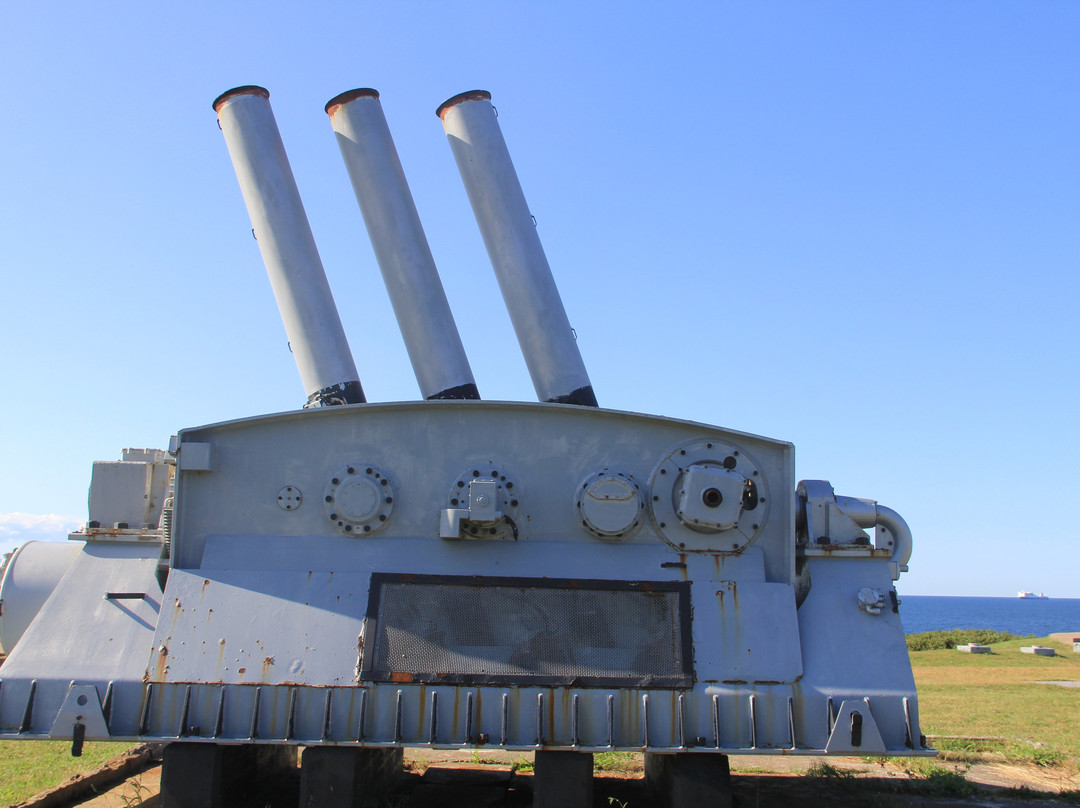 Fort Petrie Military Museum景点图片