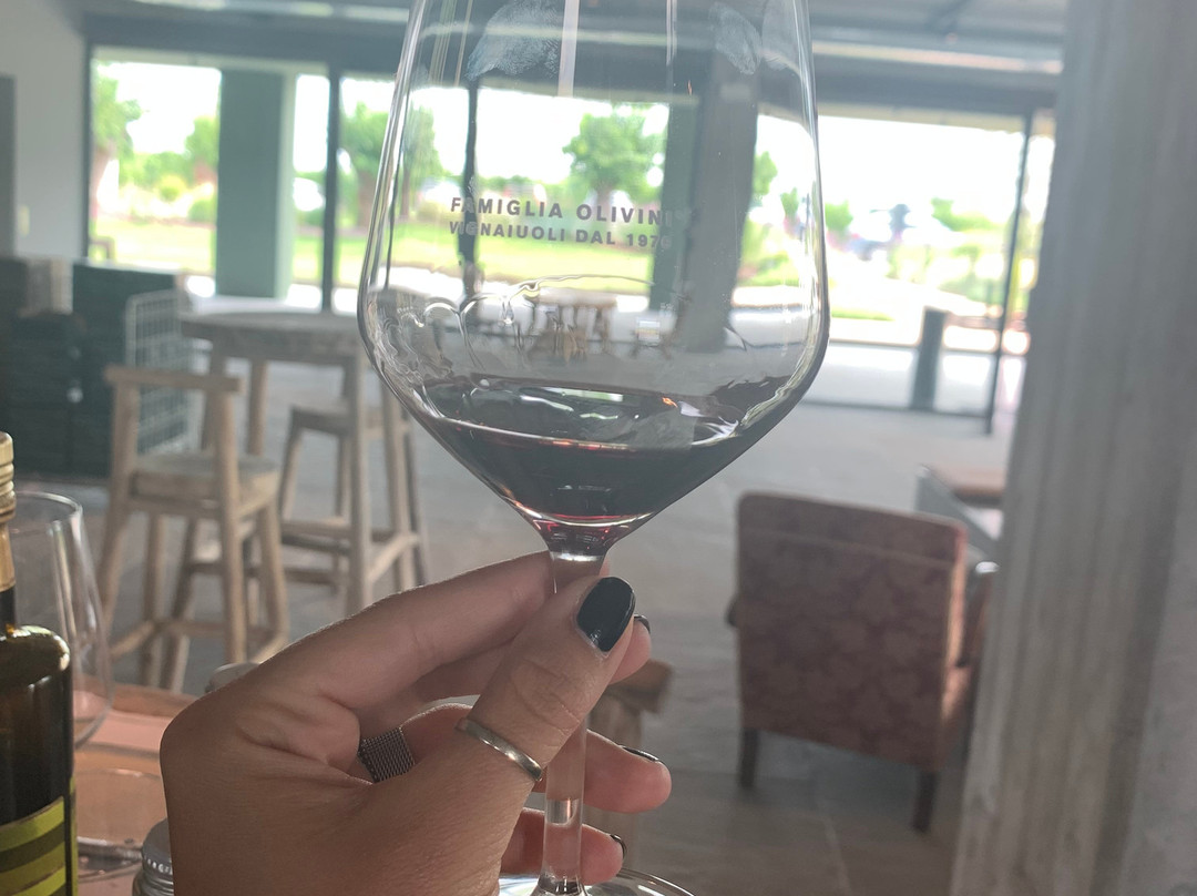 Lugana Wine Tours-代森扎诺-德尔加达必去景点