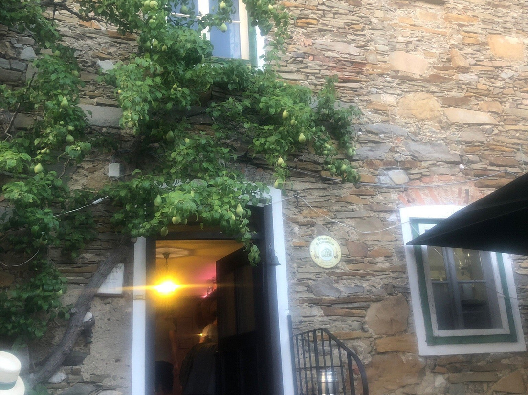 Mostschenke zum Hoangarten - Brauerei Kaltenböck