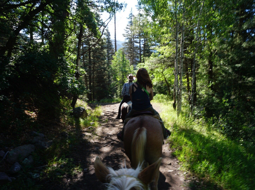 Elk Heart Outfitters-帕戈萨斯普林斯必去景点