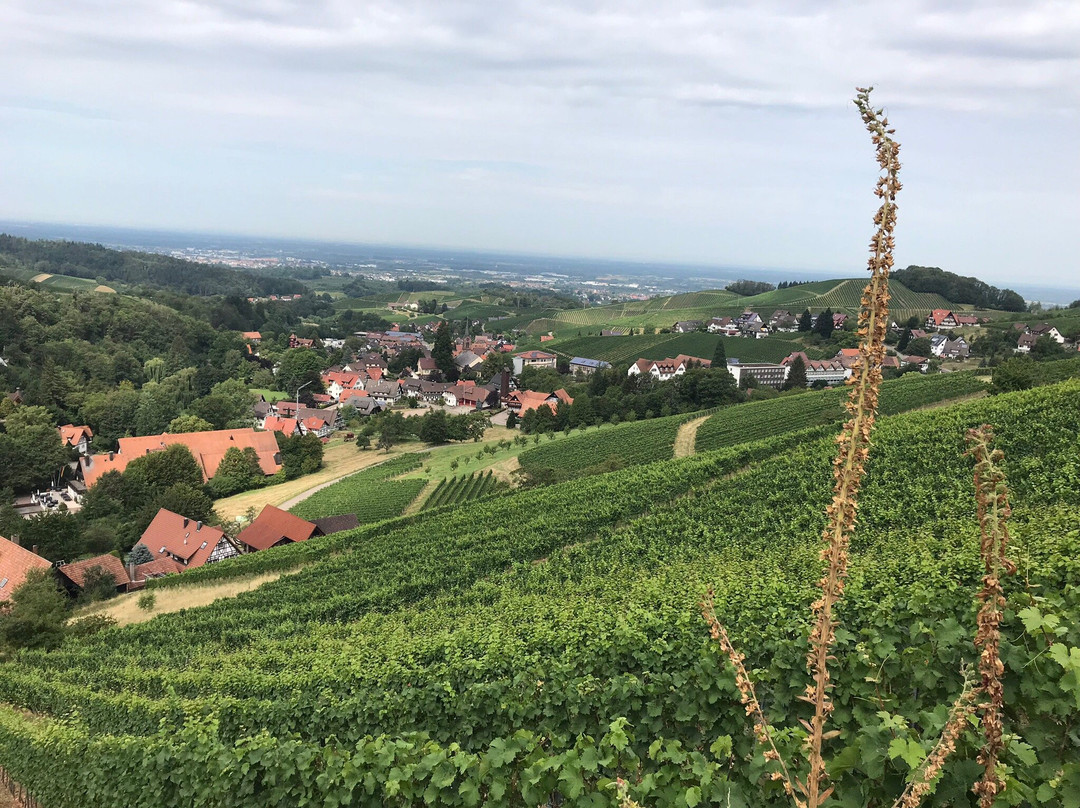 Holzwurm Erholung mit Genuss-Sasbachwalden必去景点