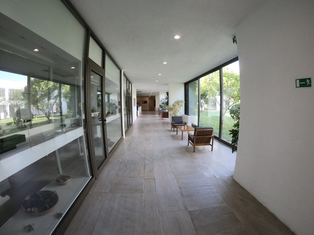 Amalia Hotel Olympia主图