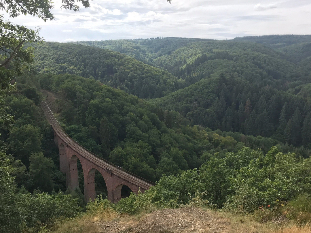 Hunsruckbahn Boppard/Rhein - Emmelshausen景点图片