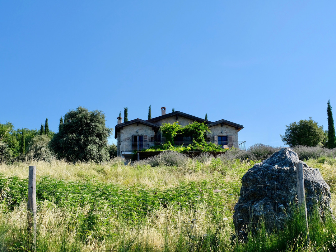 Valdonica Winery & Vineyard Residence主图