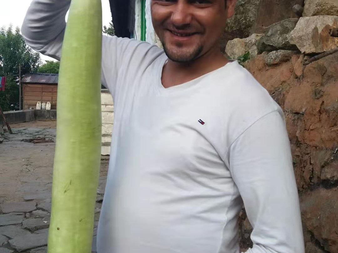 Hotel Ranjeet Palace主图