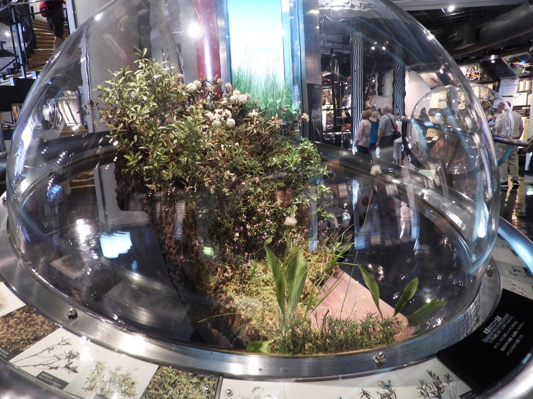 The Kushiro City Museum-钏路市必去景点