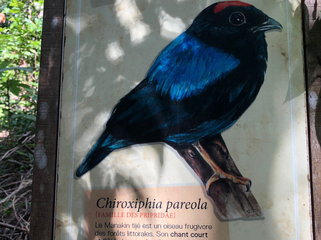 Sentier de la Mirande-Matoury必去景点