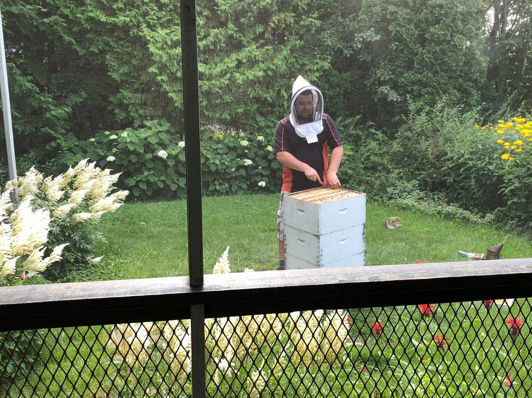 Miellerie Lune de Miel-Stoke必去景点