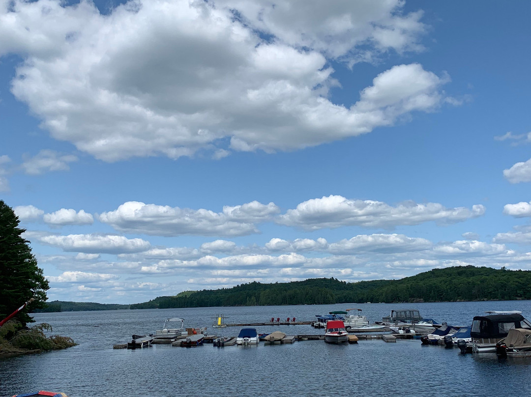 Little Hawk Resort & Marina主图