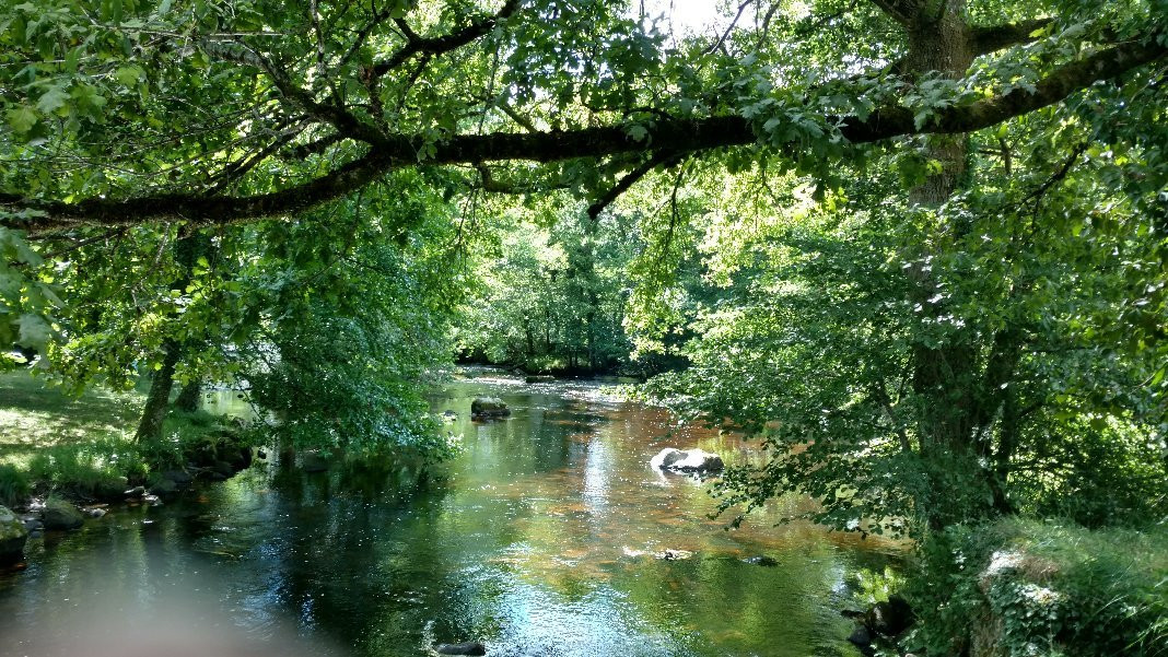VVF Château sur la Vienne Lac de Vassivière主图