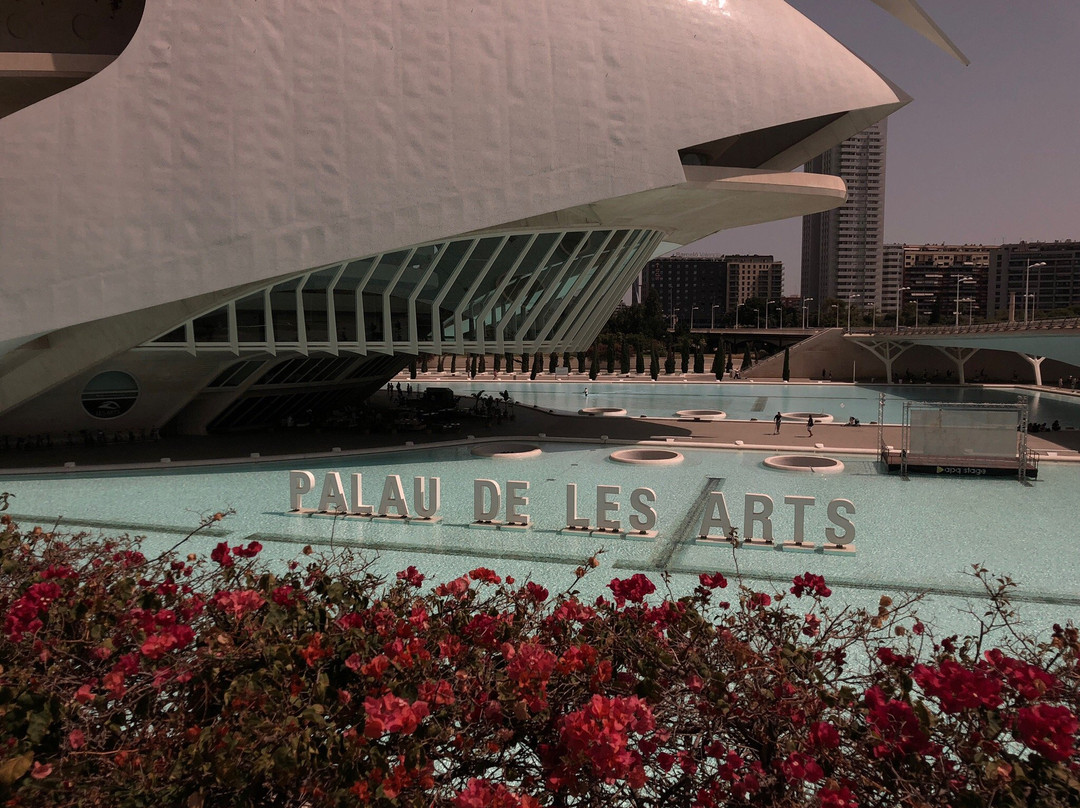 Valencia Bikes-巴伦西亚必去景点