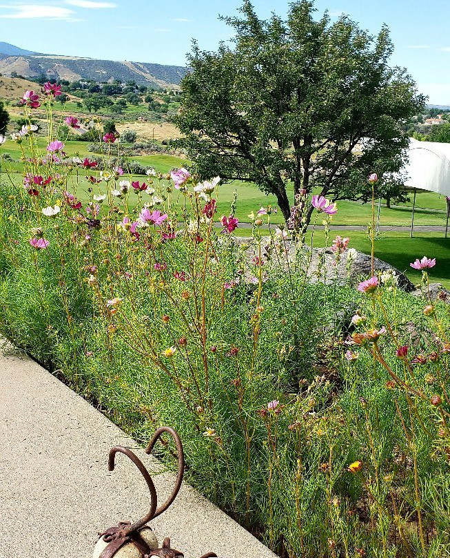 Battlement Mesa Golf-Parachute必去景点