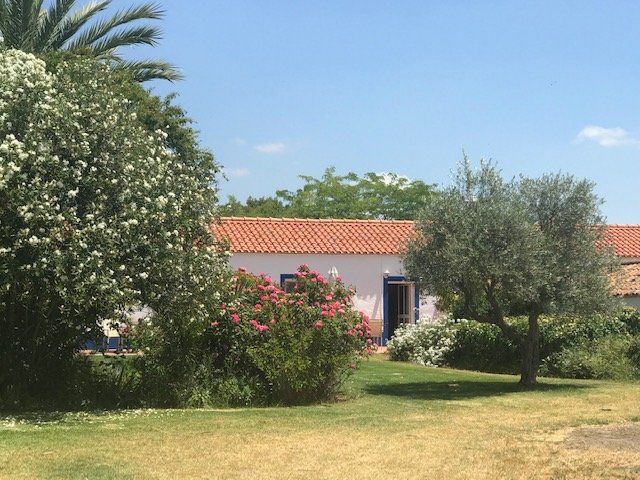 Monte Da Serralheira-酒店景观