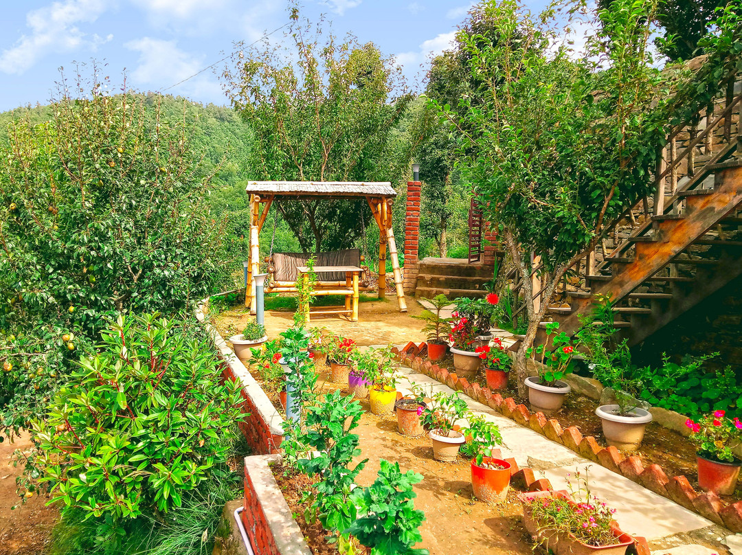 Treehouse Resort主图