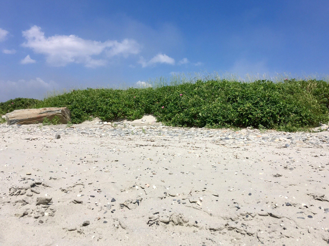 Fogland Beach-Tiverton必去景点