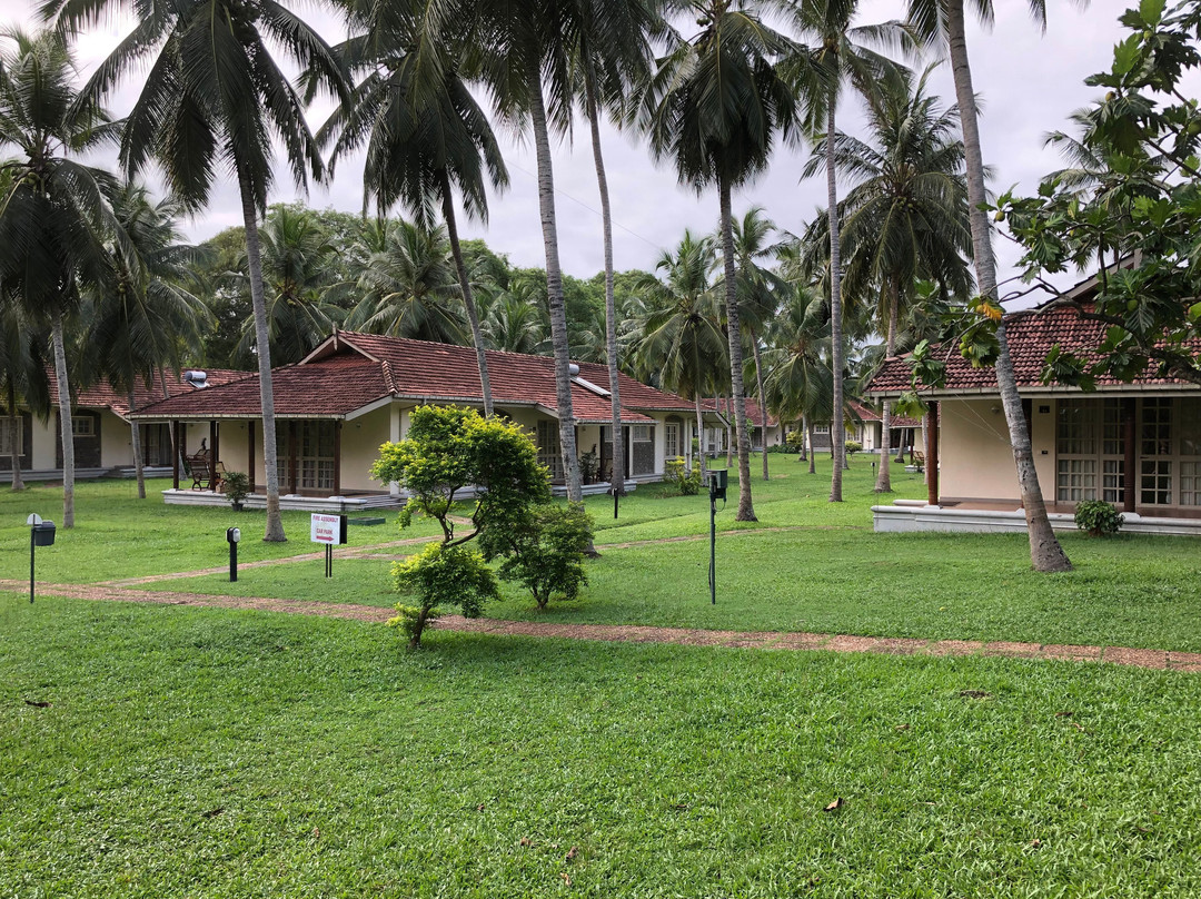 塔玛林德树酒店主图