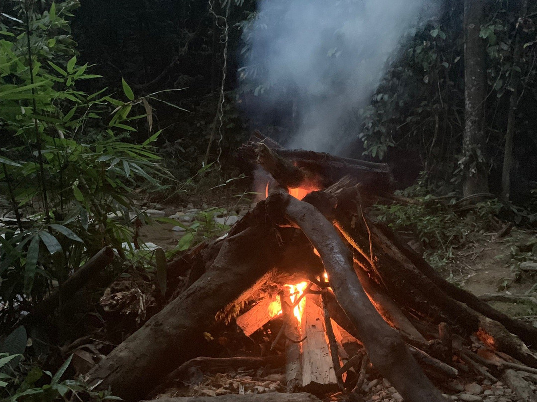 Bukit Lawang Trekking-武吉拉旺必去景点
