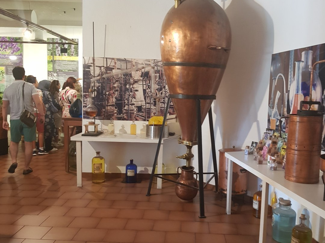 Parfumerie Galimard景点图片
