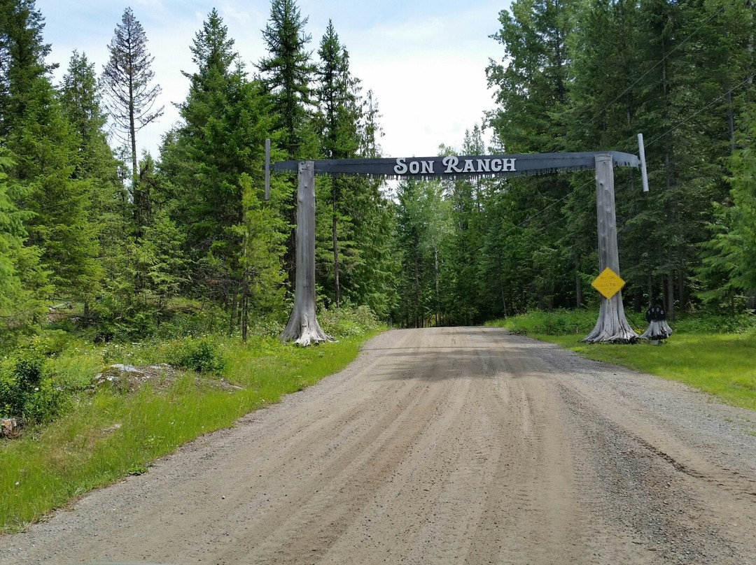 Son Ranch Timber Co景点图片