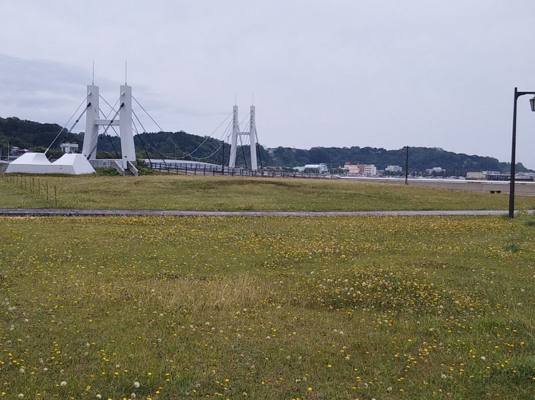 Rosa Rugosa Park-鲹泽町必去景点