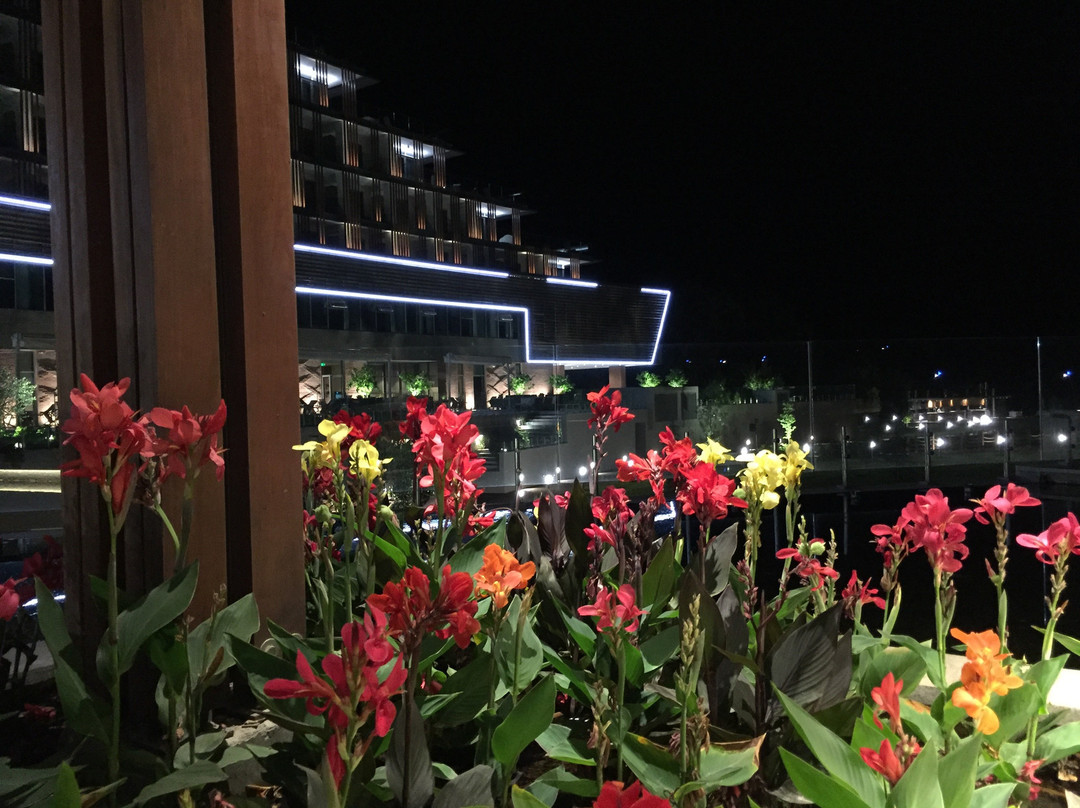 Lankaran Springs Wellness Resort主图