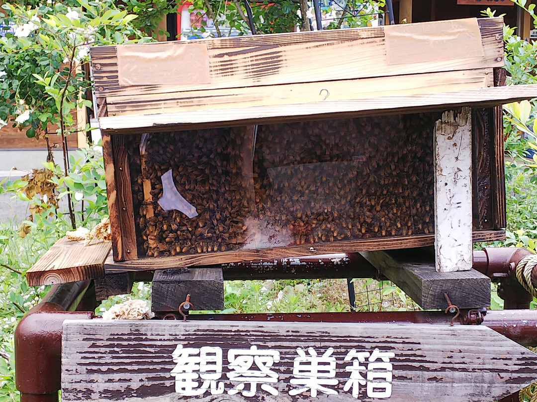 Mitsubachi Nouen (Yamada Honeybee Farm)-镜野町必去景点