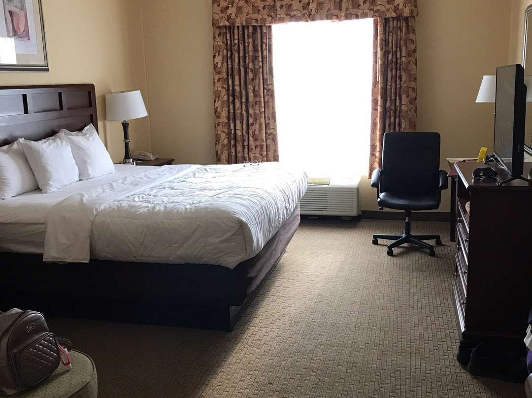 Comfort Inn & Suites Farmington - Victor主图