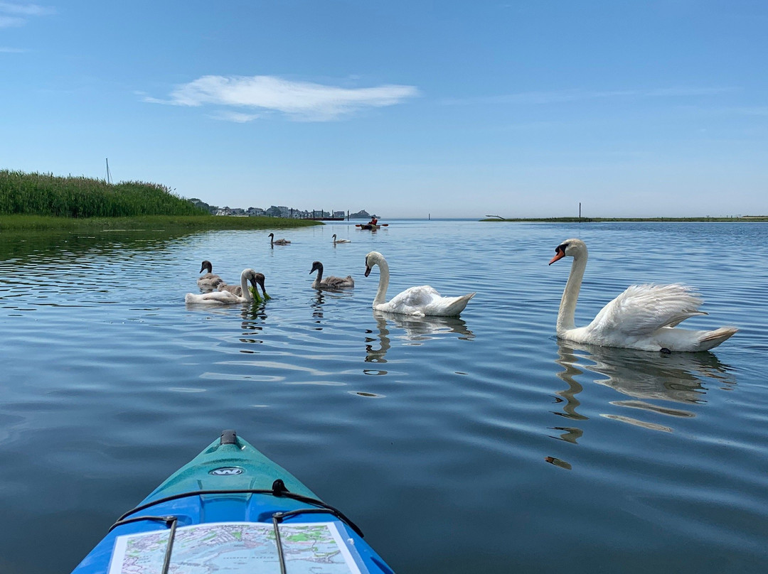 Indian River Marina-Clinton必去景点