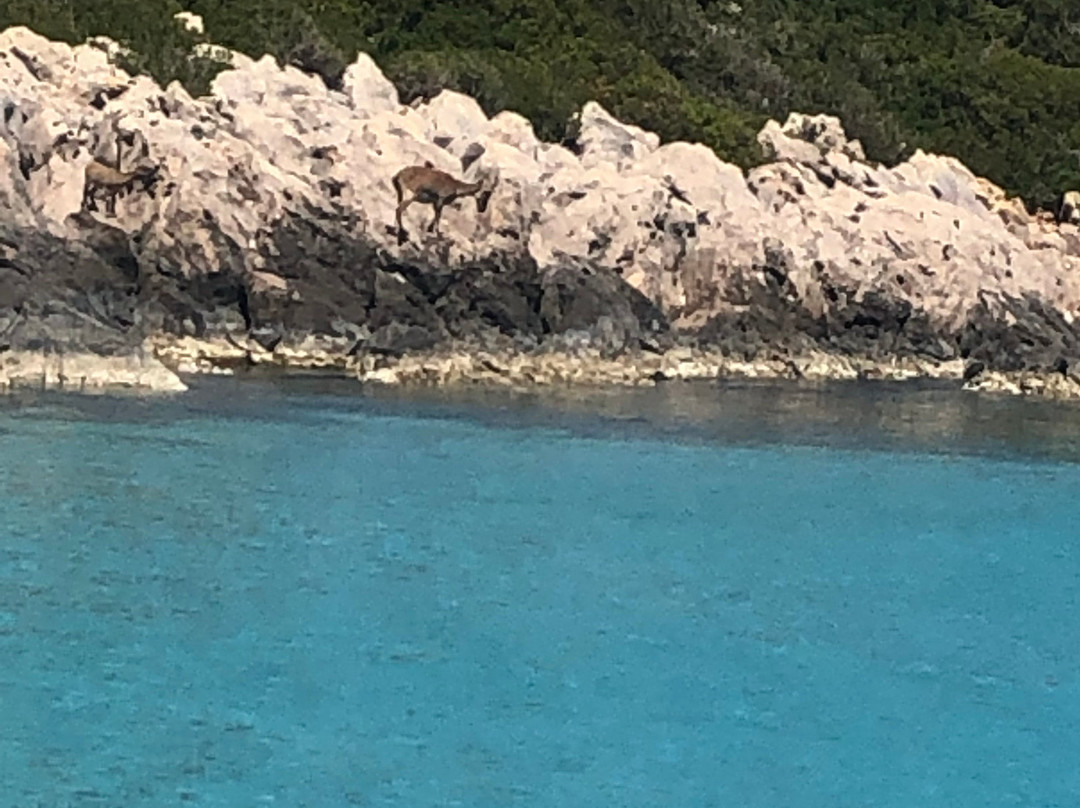 Fini Divers-Finikounda必去景点