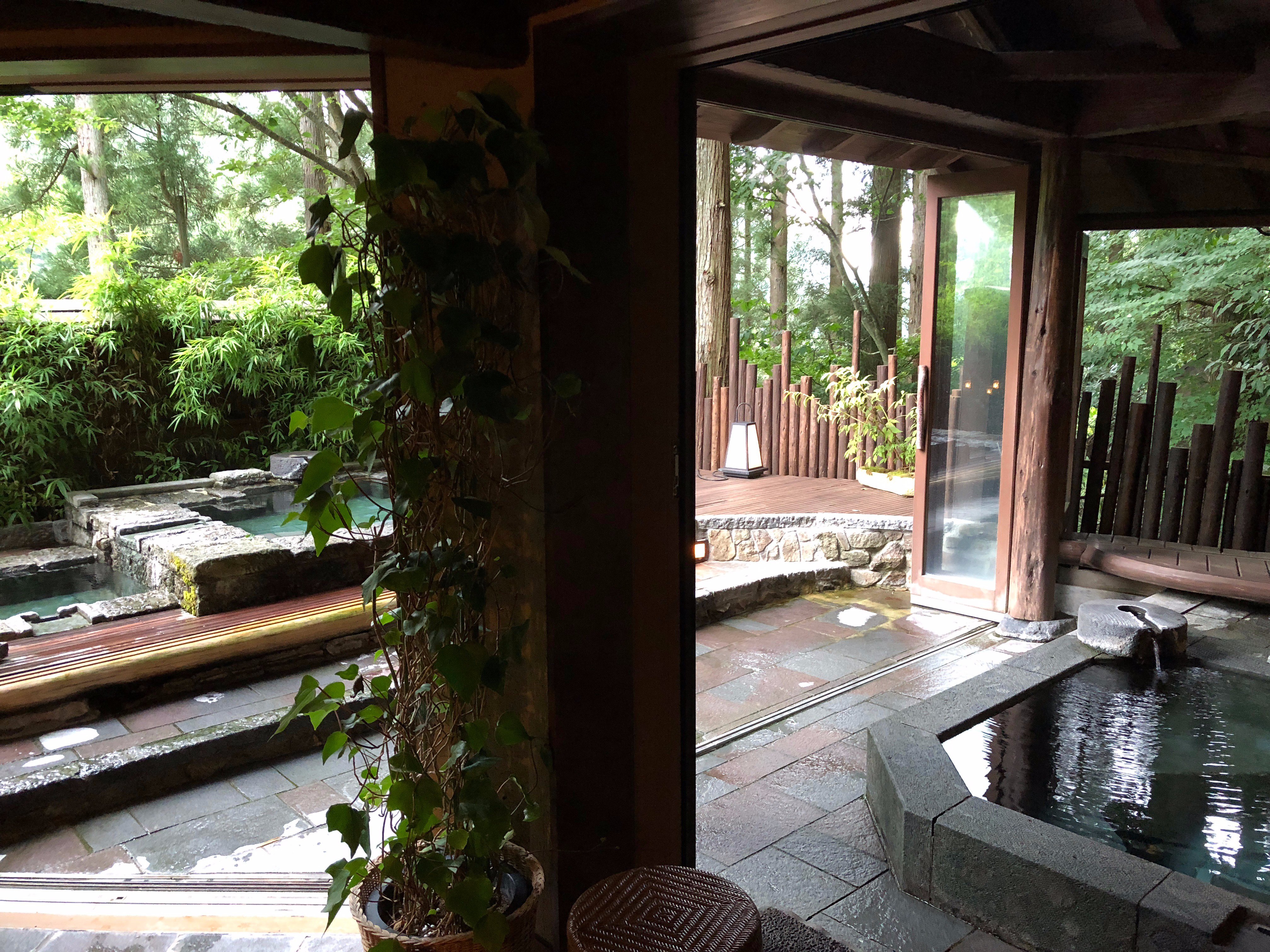 Seni Onsen Iwanoyu-浴室