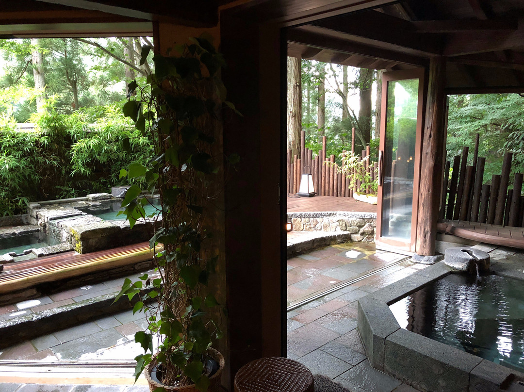 Seni Onsen Iwanoyu主图