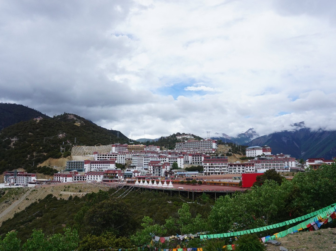 飞来寺神山大酒店主图