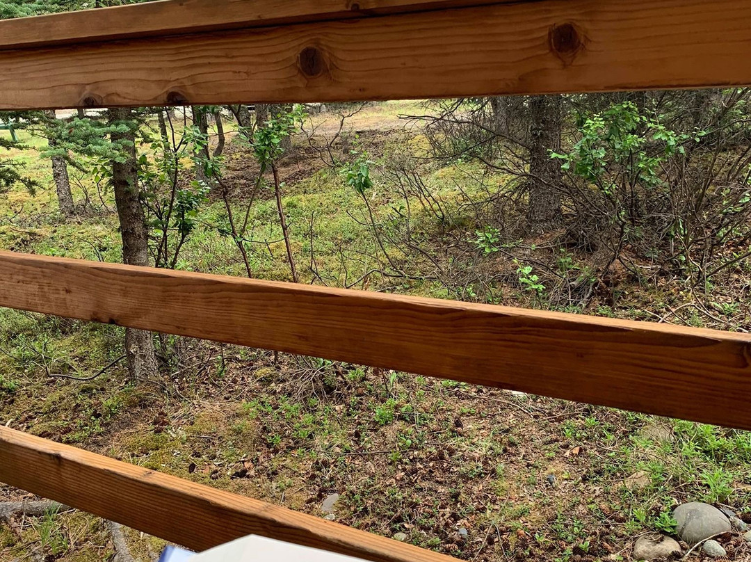 Aspen Haus Bed and Breakfast主图