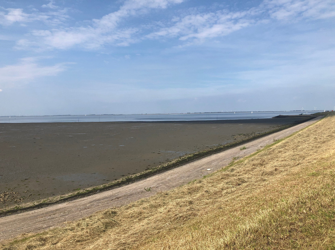 Nationaal Park Oosterschelde-Colijnsplaat必去景点