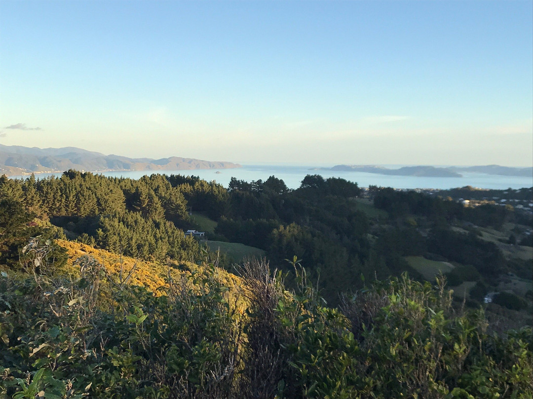 Belmont Regional Park-惠灵顿必去景点
