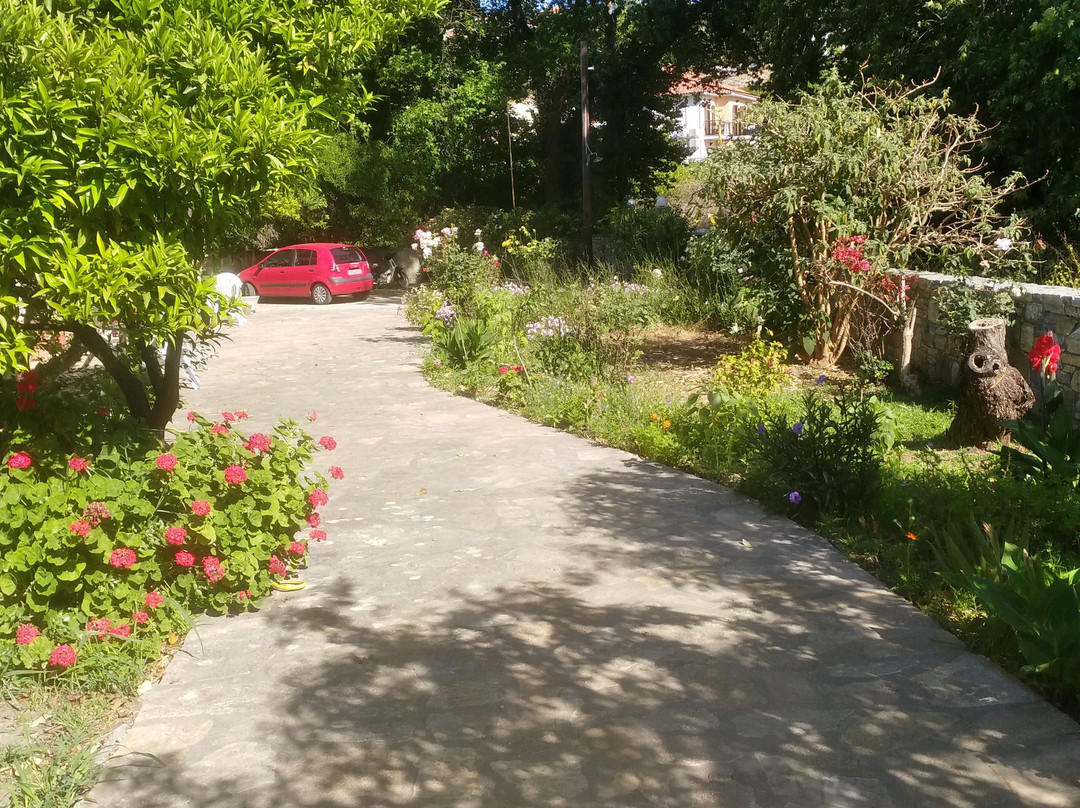 Alekos Rooms and Apartments主图