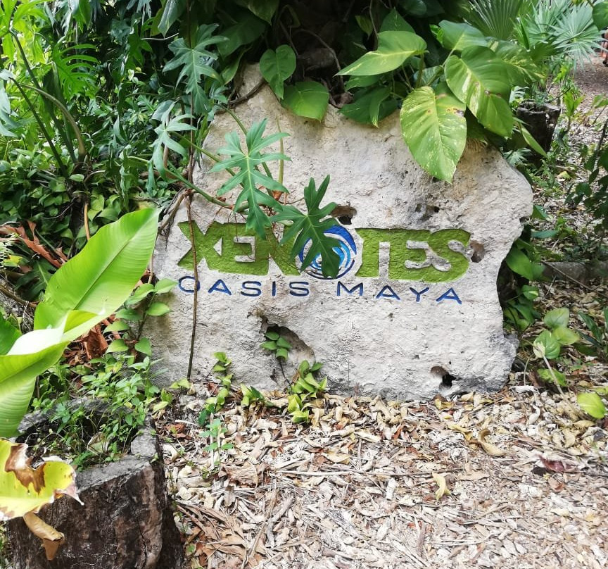 天然井绿洲玛雅-坎昆必去景点