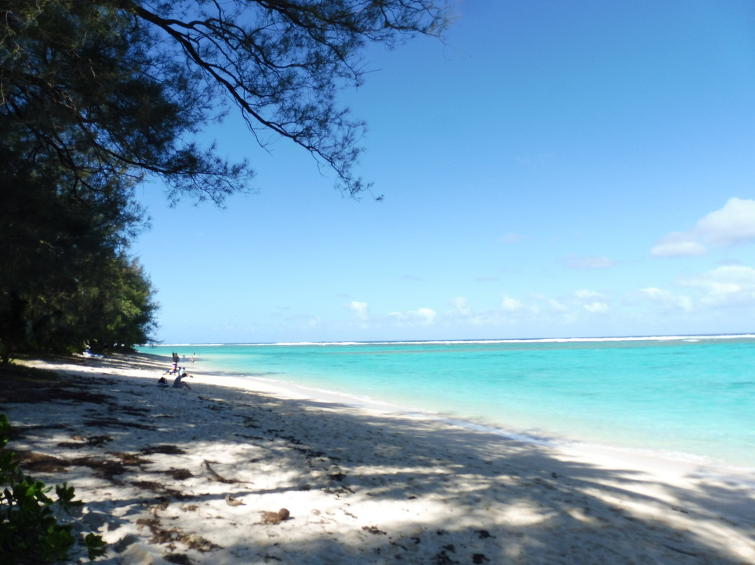Aroa Marine Reserve-拉罗汤加必去景点