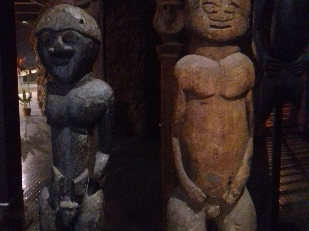 Musee de Nouvelle Caledonie-努美阿必去景点