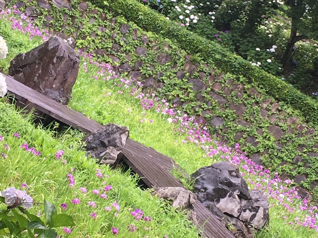 Ajisai Park-都城市必去景点