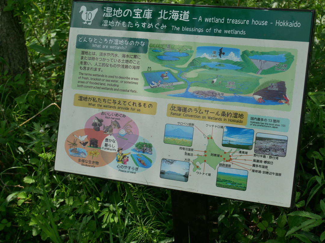 Lake Utonai Sanctuary景点图片