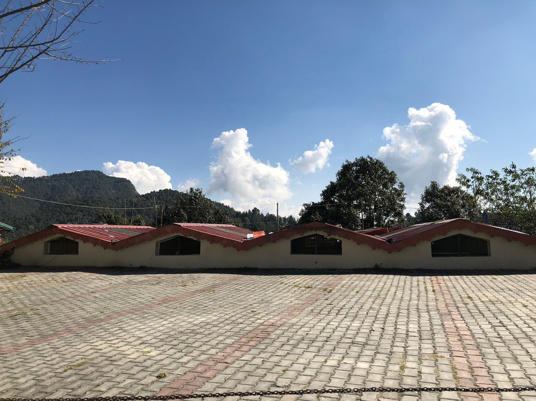 Trishul Orchard Resort主图